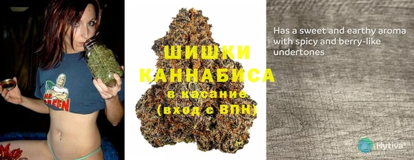 шишки Нефтекумск