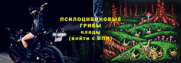 шишки Нефтекумск