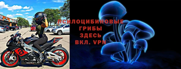 прущий лед Нея