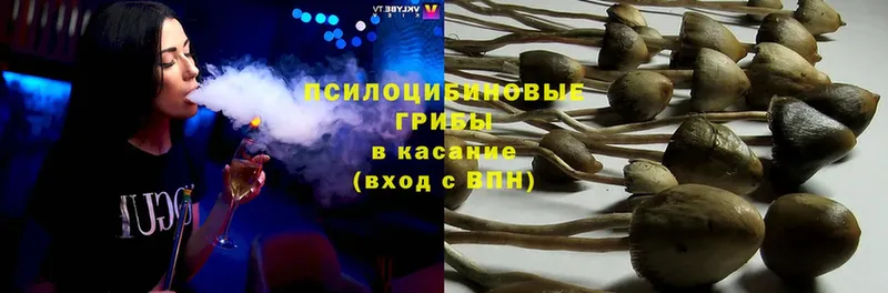 Псилоцибиновые грибы Magic Shrooms Рыбное